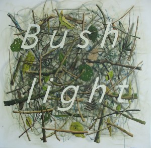 'Bush light'1000x1000mm, Oil on canvas